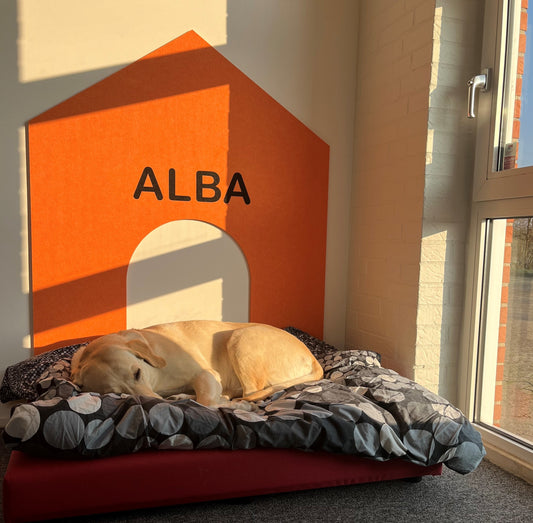 Case: Kontorindretning til kontorhunden